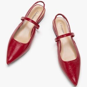 C. Paravano Deep Red Pointed Flats